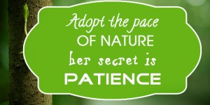 "Adopt the pace of nature: her secret is patience.” —Ralph Waldo Emerson | Fbcover.in