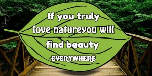 if you truly love nature