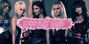 pussycat band best fb covers