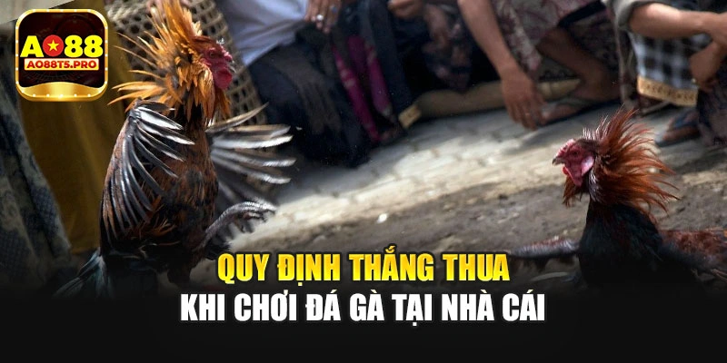 Quy định thắng thua khi chơi đá gà tại nhà cái